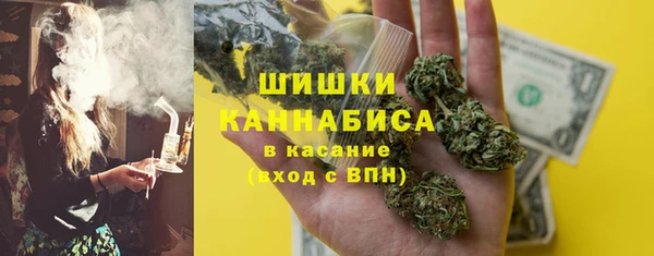 шишки Абинск