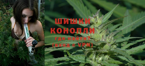 шишки Абинск