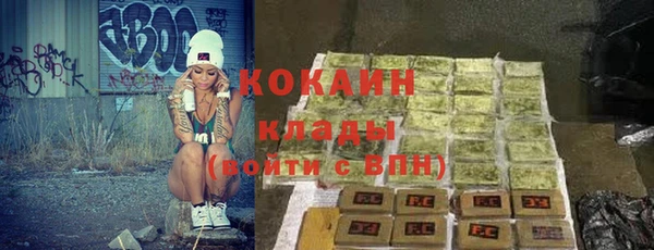шишки Абинск